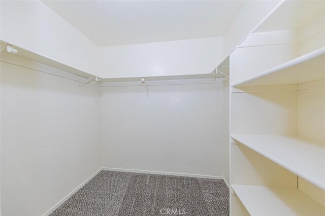 walk in closet featuring carpet floors