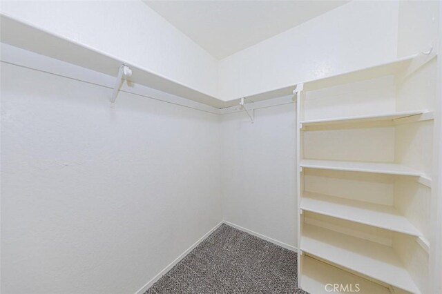 walk in closet with carpet floors