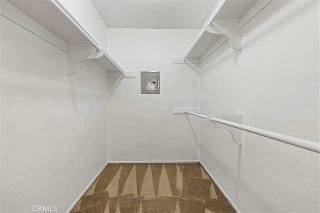 spacious closet featuring carpet floors