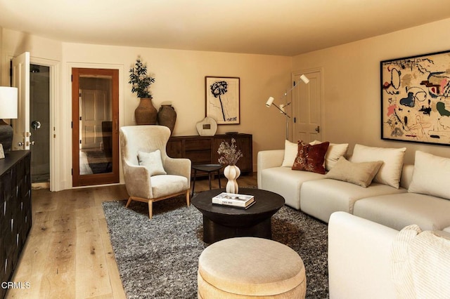 living room featuring hardwood / wood-style floors