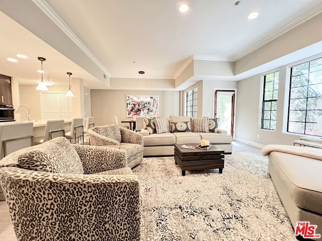 living room with ornamental molding