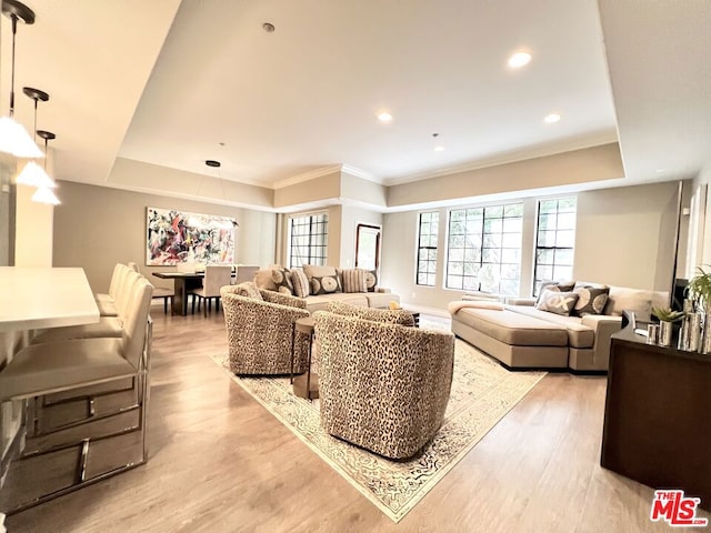 living room featuring a raised ceiling, crown molding, and light hardwood / wood-style floors