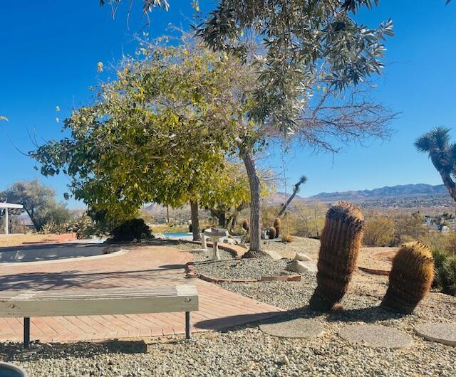 view of yard featuring a mountain view