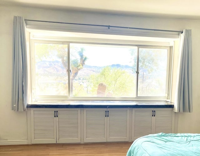 bedroom with a closet and light hardwood / wood-style flooring