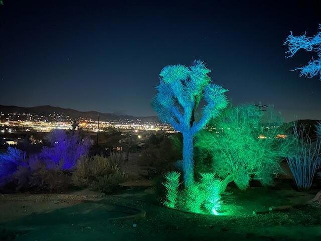 view of nature at twilight