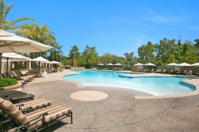 view of pool featuring a patio