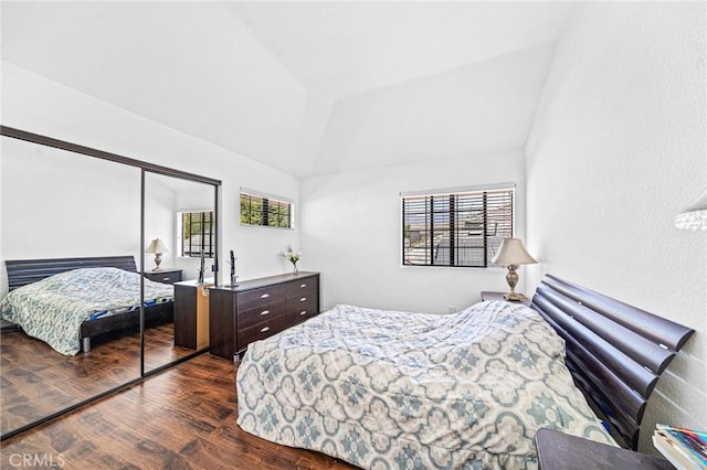 bedroom featuring lofted ceiling, multiple windows, and a closet