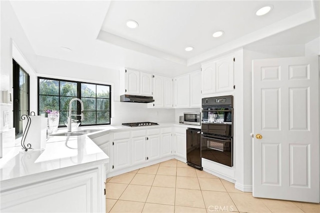 kitchen with dobule oven black, a raised ceiling, stainless steel microwave, under cabinet range hood, and a sink