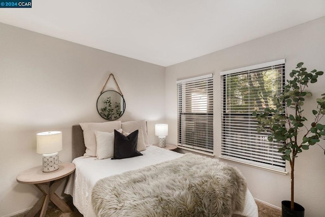 bedroom with carpet floors