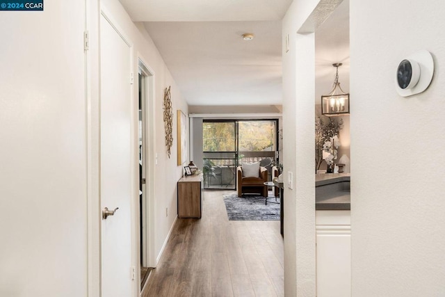 corridor featuring wood-type flooring