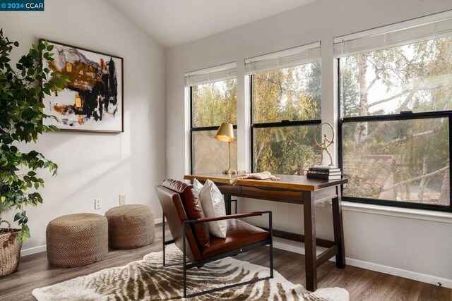 interior space with a wealth of natural light, dark hardwood / wood-style flooring, and lofted ceiling