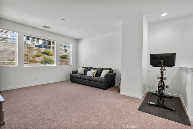 exercise room featuring light colored carpet