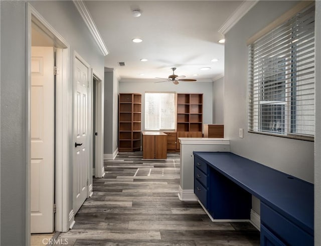 home office with ceiling fan, crown molding, built in desk, and dark hardwood / wood-style floors