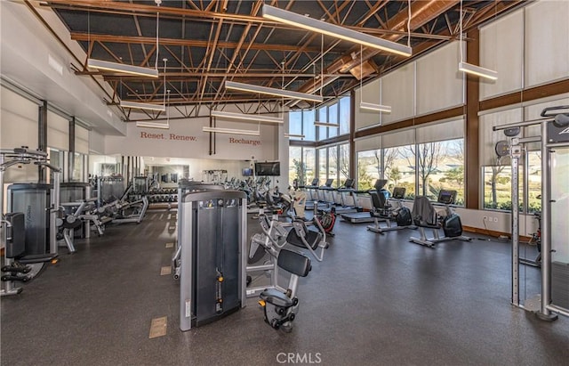 gym featuring a towering ceiling