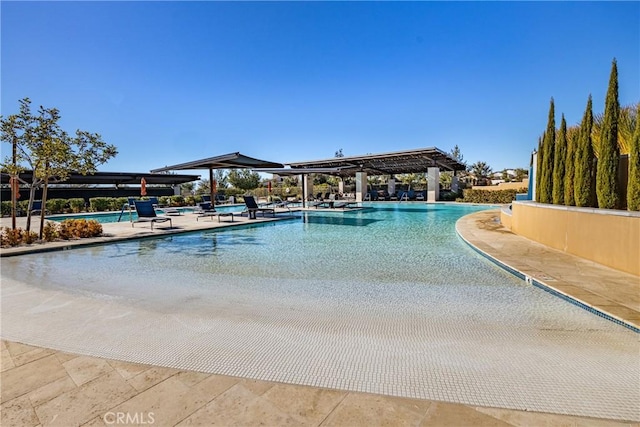 view of pool featuring a patio area