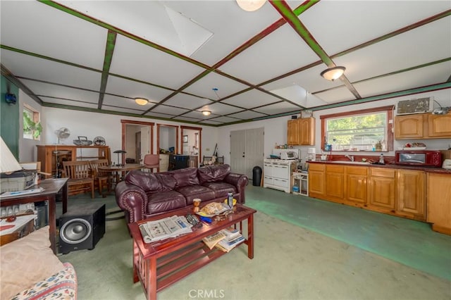 living room featuring sink