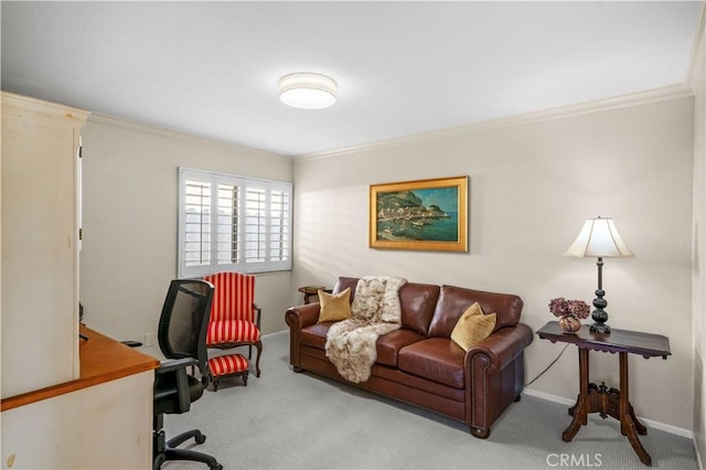 carpeted office with crown molding