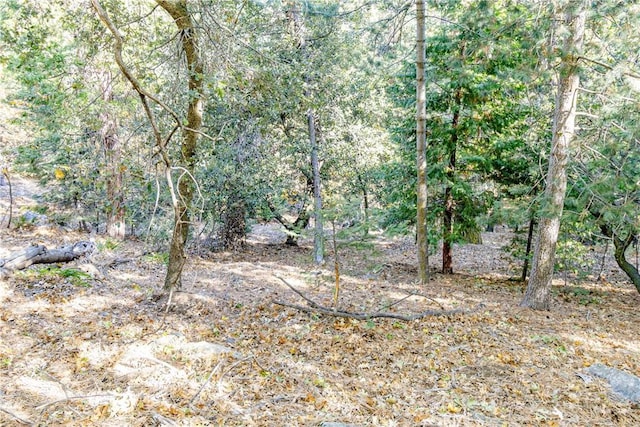 Listing photo 3 for 0 Alder Creek Rd, Cedarpines Park CA 92322