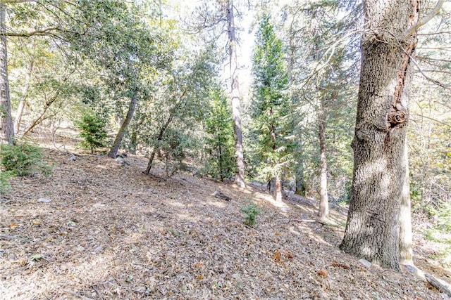 Listing photo 2 for 0 Alder Creek Rd, Cedarpines Park CA 92322