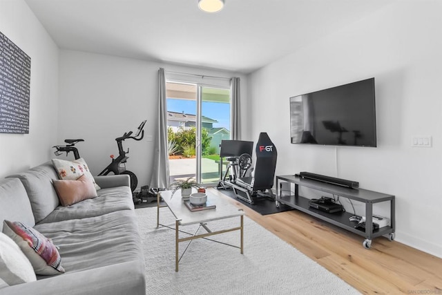 living room with wood-type flooring