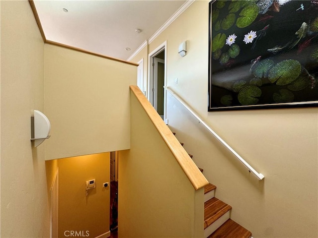 staircase with crown molding