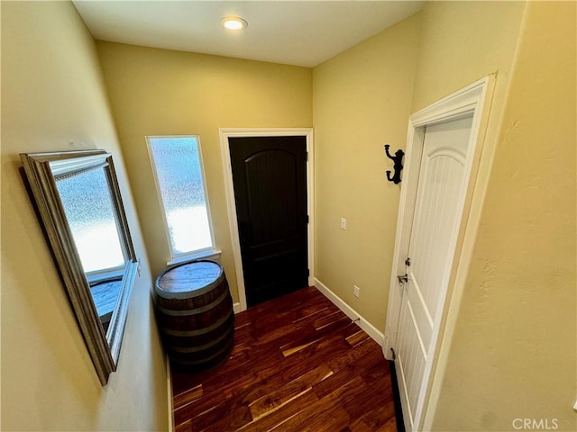 interior space with dark wood-type flooring