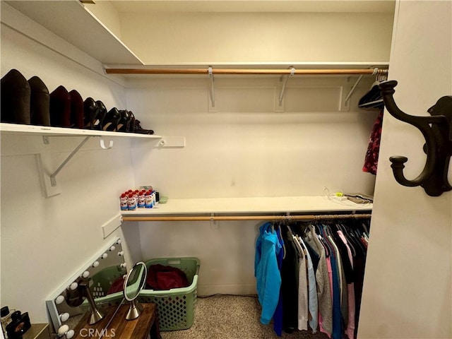 spacious closet featuring carpet