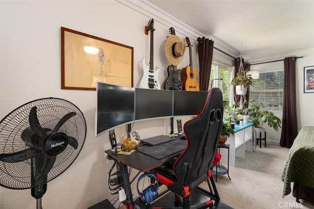 carpeted office featuring crown molding