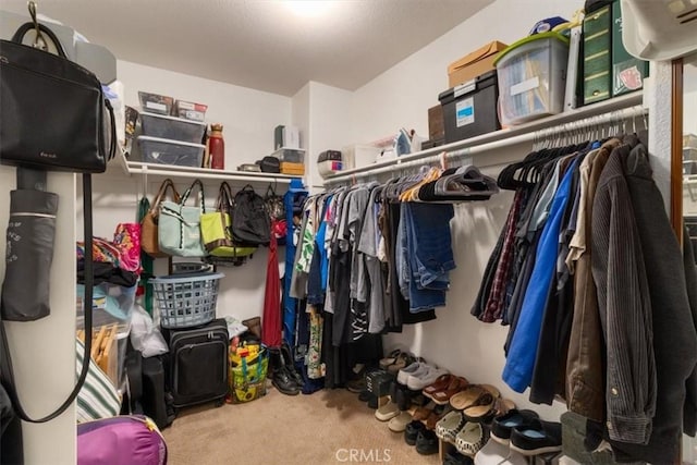 spacious closet with carpet