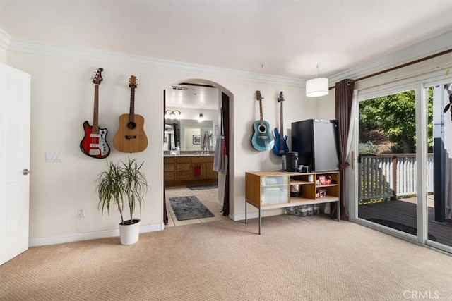 interior space featuring light carpet and ornamental molding