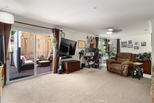 carpeted living room featuring ceiling fan and ornamental molding