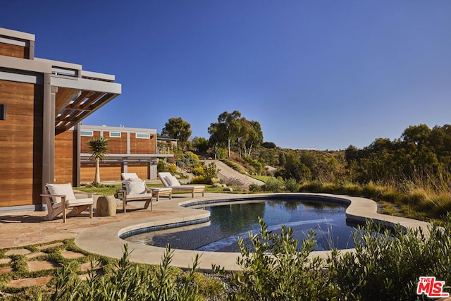 view of swimming pool with a patio