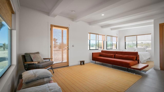 living room featuring a wealth of natural light and beamed ceiling