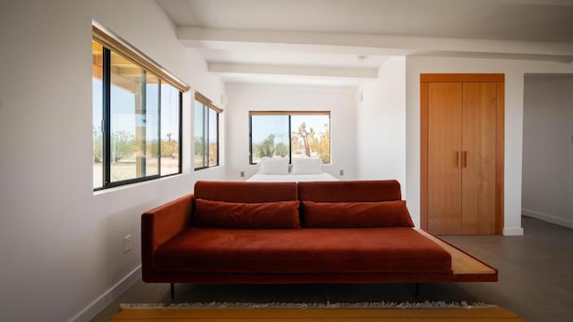 living area featuring beam ceiling and plenty of natural light