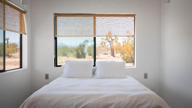 bedroom featuring multiple windows