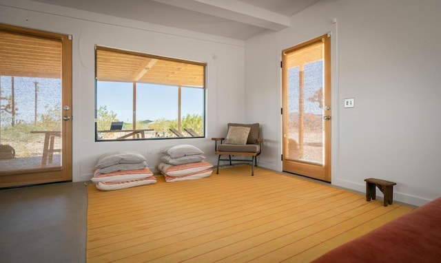 sitting room with a healthy amount of sunlight and light wood-type flooring