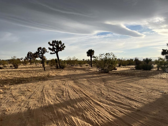 view of local wilderness featuring a rural view