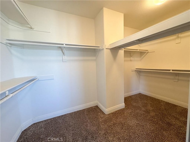 walk in closet featuring dark carpet