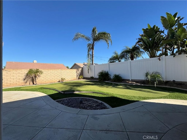 view of yard featuring a patio area