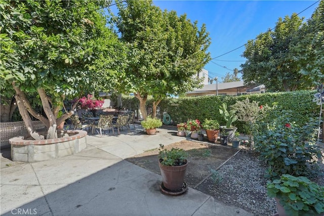 view of yard featuring a patio area