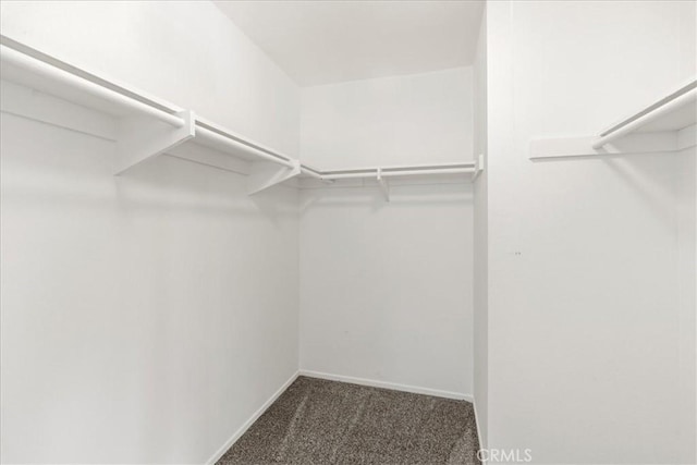 walk in closet with dark carpet