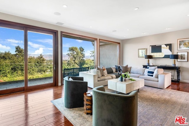 living room featuring hardwood / wood-style flooring