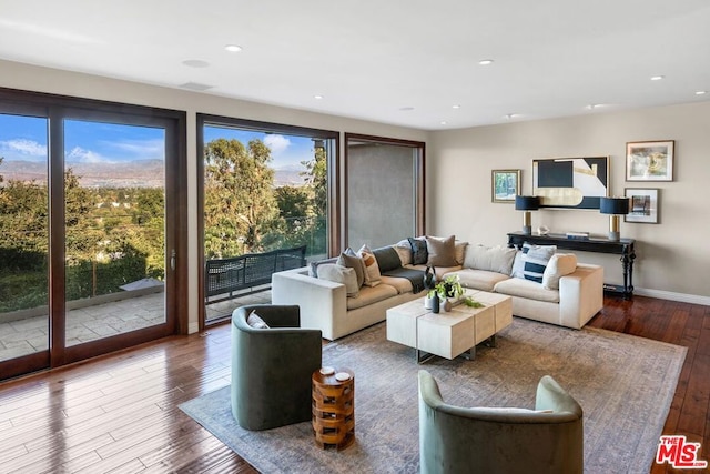 living room featuring hardwood / wood-style flooring