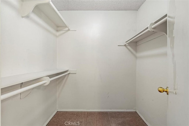 walk in closet featuring carpet