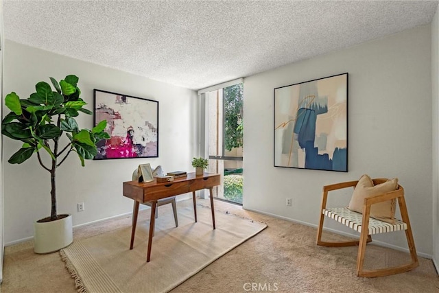 office area with a textured ceiling and light colored carpet