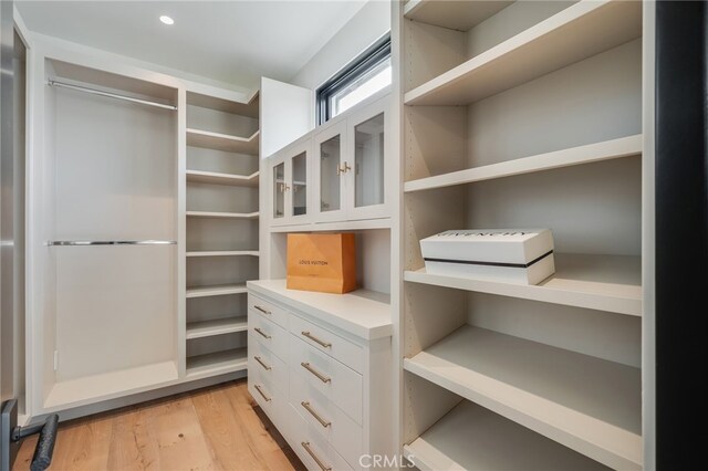 427 Santa Ana Ave, Newport Beach, CA 92663 - spacious closet with light wood-type flooring