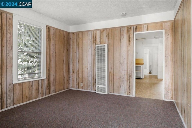 empty room with a textured ceiling, carpet floors, and wood walls