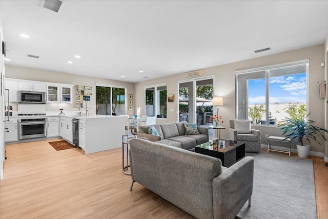 living room featuring light wood-type flooring and sink