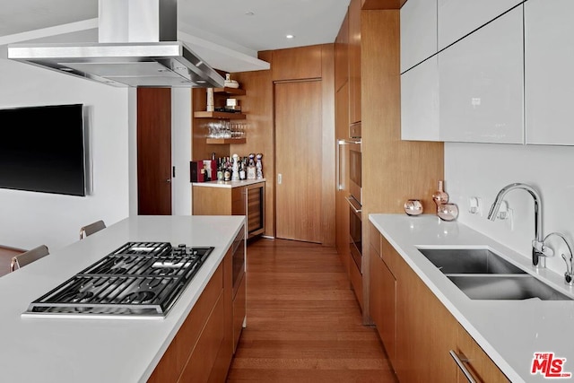 kitchen featuring white cabinets, sink, light hardwood / wood-style flooring, island exhaust hood, and stainless steel appliances