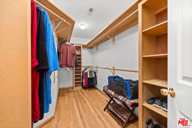 spacious closet with wood-type flooring